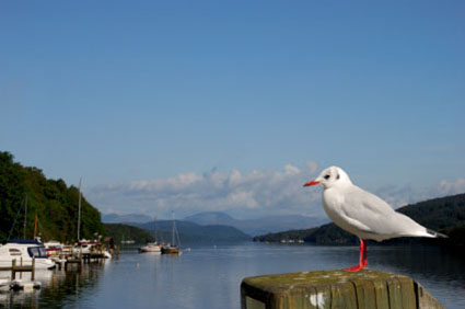 Marinas